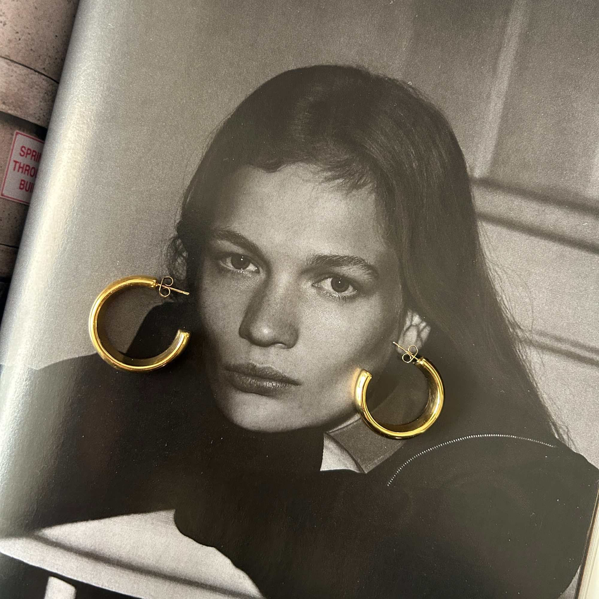 Oorbellen Hoops Gold | Stainless Steel