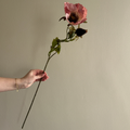 Kunstbloem Klaproos Roze