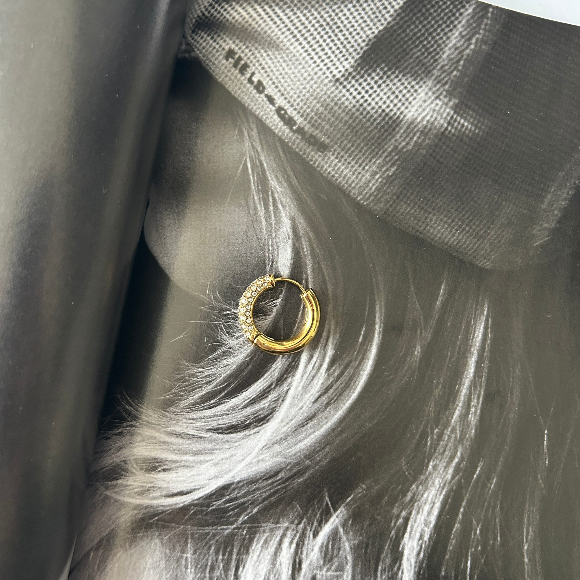 Oorbellen Sparkle Goud | Stainless Steel