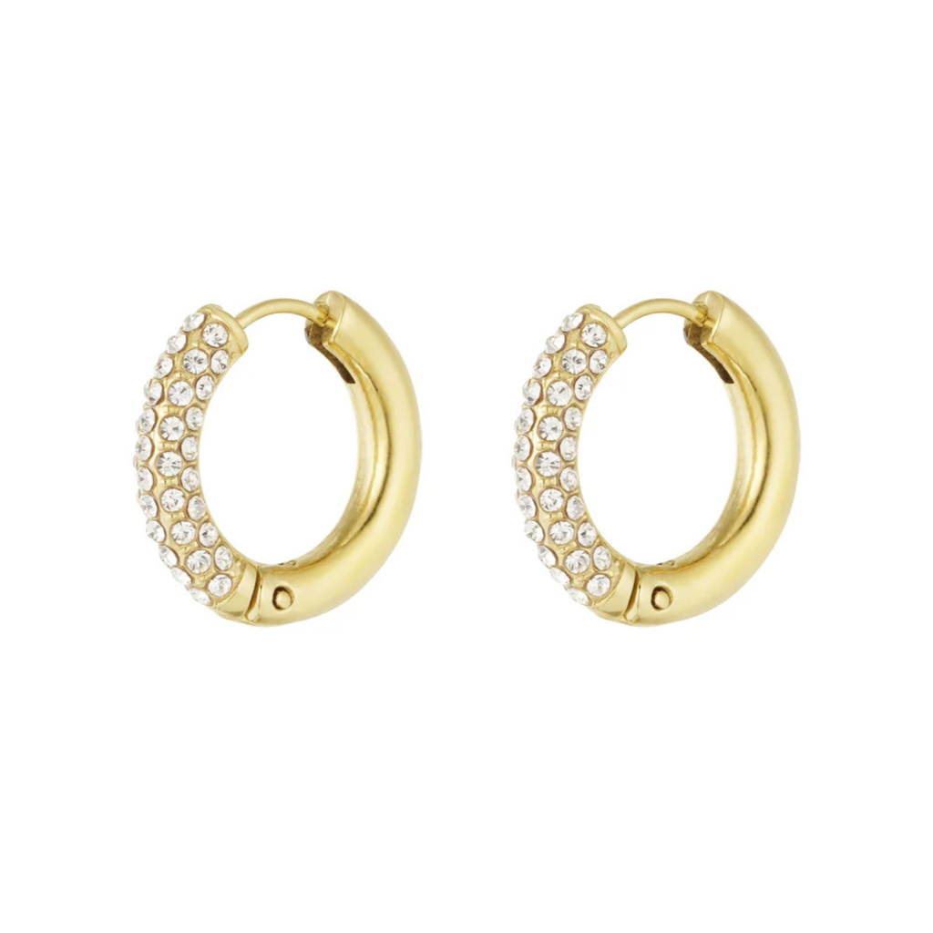 Oorbellen Sparkle Goud | Stainless Steel