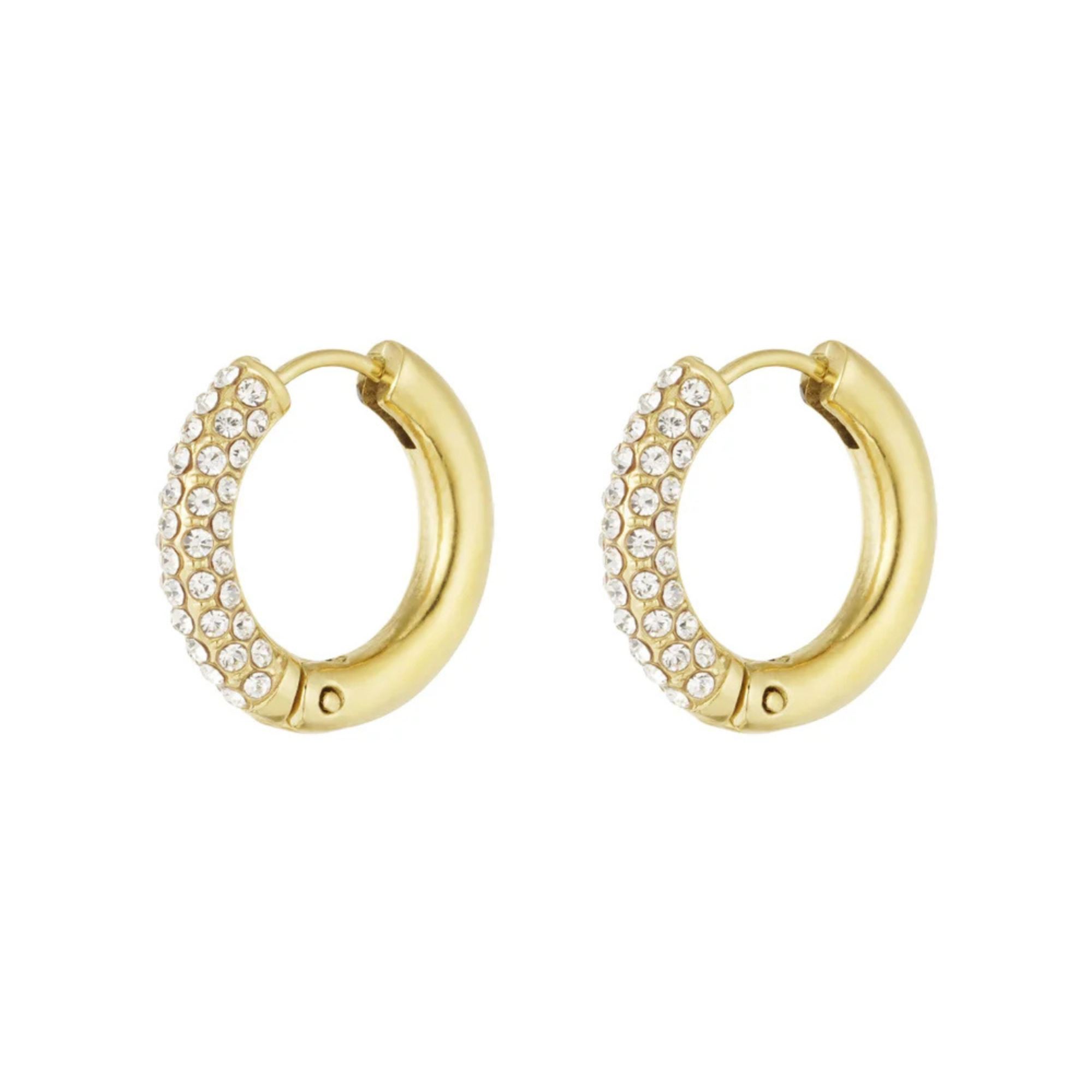 Oorbellen Sparkle Goud | Stainless Steel